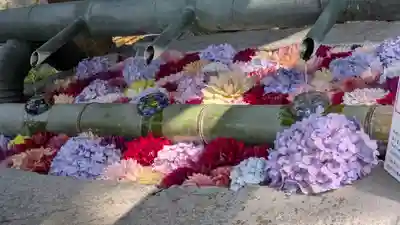 岡寺(龍蓋寺)(奈良県)