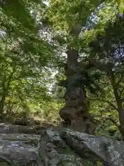 金華山黄金山神社(宮城県)