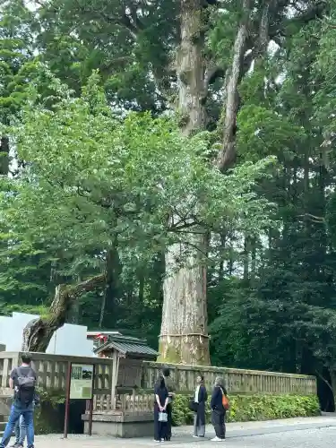 霧島神宮の{uncategorized: "未分類", other: "その他", undefined: "問題あり", building: "その他建物", grave: "お墓", sacred_gate: "鳥居", guardian: "狛犬", statue: "像", buddha: "仏像", history: "歴史", nature: "自然", garden: "庭園", animal: "動物", pagoda: "塔", temizu: "手水舎", mountain_gate: "山門・神門", sanctuary: "本殿・本堂", subordinate: "末社・摂社", art: "芸術", scenery: "景色", jizo: "地蔵", ema: "絵馬", goshuin: "御朱印", omikuji: "おみくじ", items: "授与品その他", amulet: "お守り", goshuincho: "御朱印帳", eats: "食事", festival: "お祭り", votive_dance: "神楽", shichigosan: "七五三参", wedding: "結婚式", experience: "体験その他", initially: "初詣", around: "周辺", anti_infection: "感染症対策"}