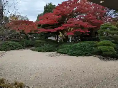 護国寺(東京都)