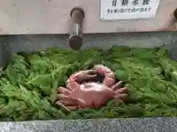 多賀神社(尾張多賀神社)(愛知県)