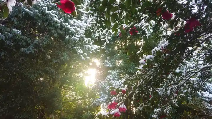尾張大國霊神社(国府宮)の自然