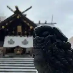 札幌諏訪神社の狛犬