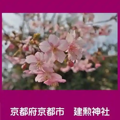 建勲神社の自然