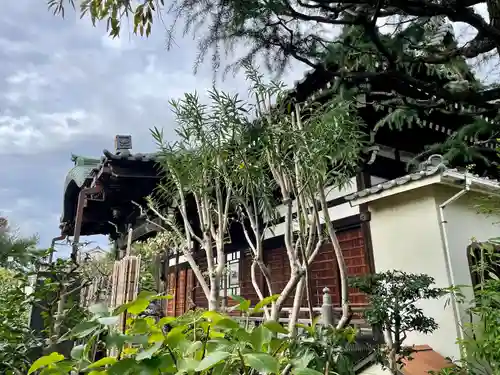 感應寺(東京都)