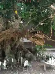 阿太加夜神社の建物その他