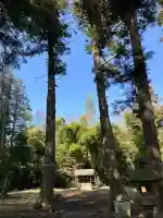 高田日枝神社の{uncategorized: "未分類", other: "その他", undefined: "問題あり", building: "その他建物", grave: "お墓", sacred_gate: "鳥居", guardian: "狛犬", statue: "像", buddha: "仏像", history: "歴史", nature: "自然", garden: "庭園", animal: "動物", pagoda: "塔", temizu: "手水舎", mountain_gate: "山門・神門", sanctuary: "本殿・本堂", subordinate: "末社・摂社", art: "芸術", scenery: "景色", jizo: "地蔵", ema: "絵馬", goshuin: "御朱印", omikuji: "おみくじ", items: "授与品その他", amulet: "お守り", goshuincho: "御朱印帳", eats: "食事", festival: "お祭り", votive_dance: "神楽", shichigosan: "七五三参", wedding: "結婚式", experience: "体験その他", initially: "初詣", around: "周辺", anti_infection: "感染症対策"}