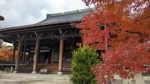 妙顯寺（妙顕寺）(京都府)
