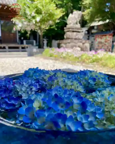 立志神社(滋賀県)