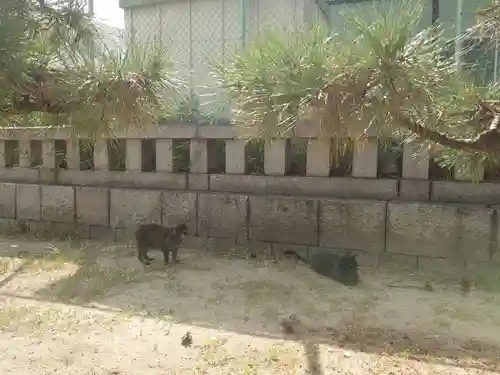 住吉大社(大阪府)