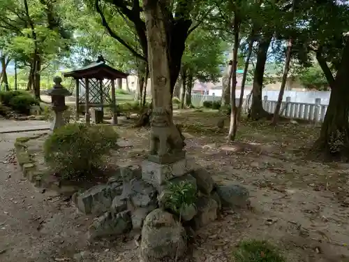 新屋坐天照御魂神社の狛犬