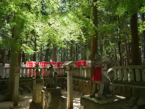 豊川閣　妙厳寺の狛犬