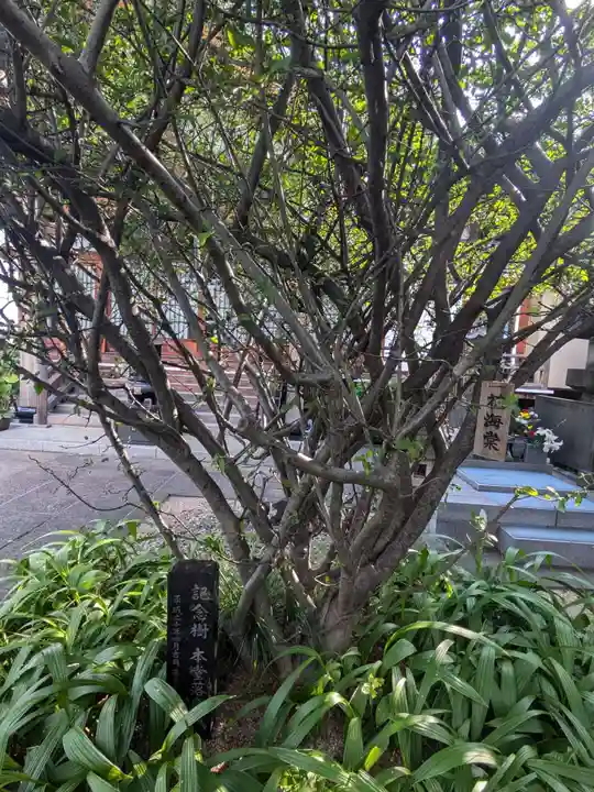 大行寺(東京都)