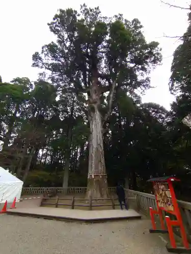 霧島神宮(鹿児島県)