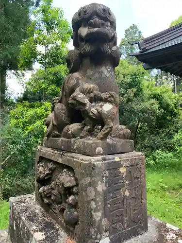 横山神社の狛犬