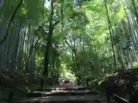 地蔵院の自然