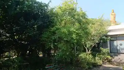 普向寺(静岡県)