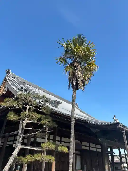 光触寺の本殿・本堂