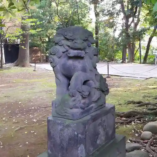 赤坂氷川神社の狛犬