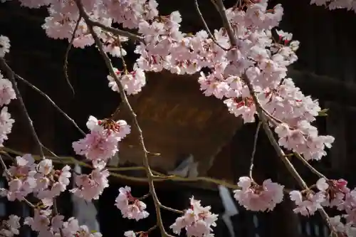 国宝 大法寺の自然