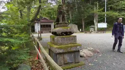 義經神社の狛犬