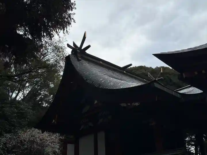 大己貴神社の{uncategorized: "未分類", other: "その他", undefined: "問題あり", building: "その他建物", grave: "お墓", sacred_gate: "鳥居", guardian: "狛犬", statue: "像", buddha: "仏像", history: "歴史", nature: "自然", garden: "庭園", animal: "動物", pagoda: "塔", temizu: "手水舎", mountain_gate: "山門・神門", sanctuary: "本殿・本堂", subordinate: "末社・摂社", art: "芸術", scenery: "景色", jizo: "地蔵", ema: "絵馬", goshuin: "御朱印", omikuji: "おみくじ", items: "授与品その他", amulet: "お守り", goshuincho: "御朱印帳", eats: "食事", festival: "お祭り", votive_dance: "神楽", shichigosan: "七五三参", wedding: "結婚式", experience: "体験その他", initially: "初詣", around: "周辺", anti_infection: "感染症対策"}