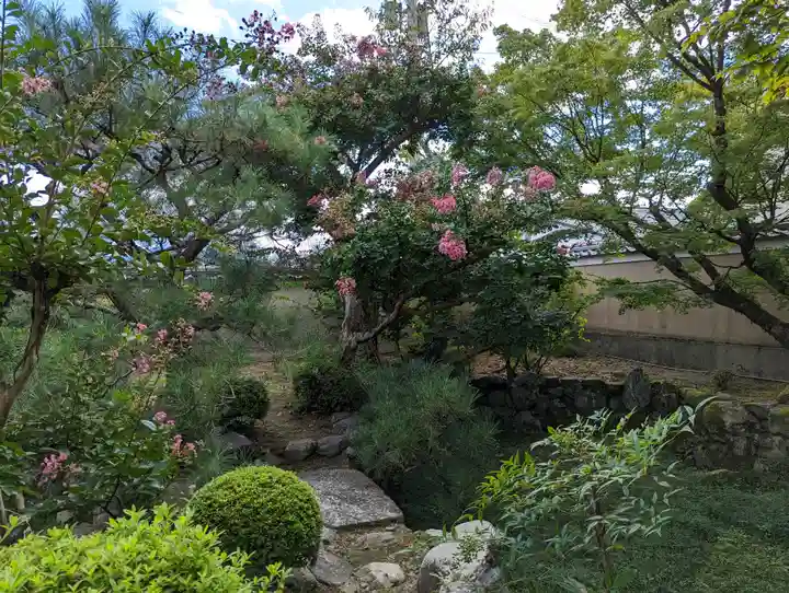 神光院(京都府)