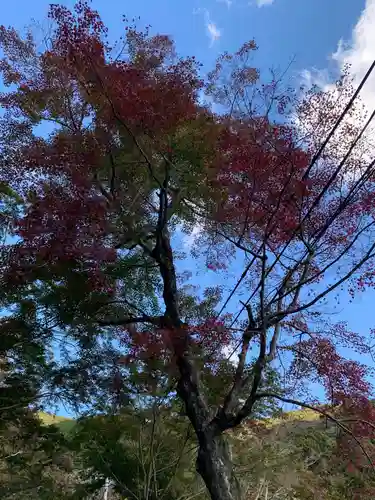 普門寺(切り絵御朱印発祥の寺)の自然