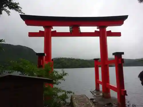 箱根神社の鳥居