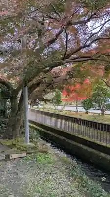 栖賢寺(京都府)