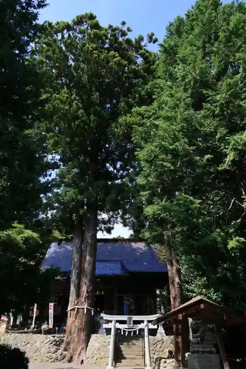 高司神社〜むすびの神の鎮まる社〜の景色