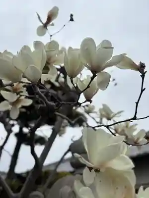 無量寿院(兵庫県)
