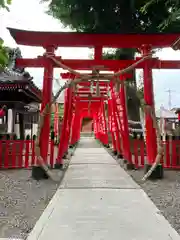 於菊稲荷神社(群馬県)