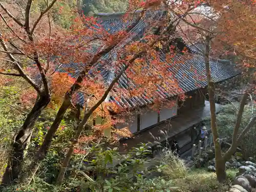 愛宕念仏寺(京都府)