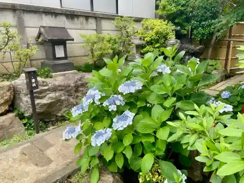 皆中稲荷神社(東京都)