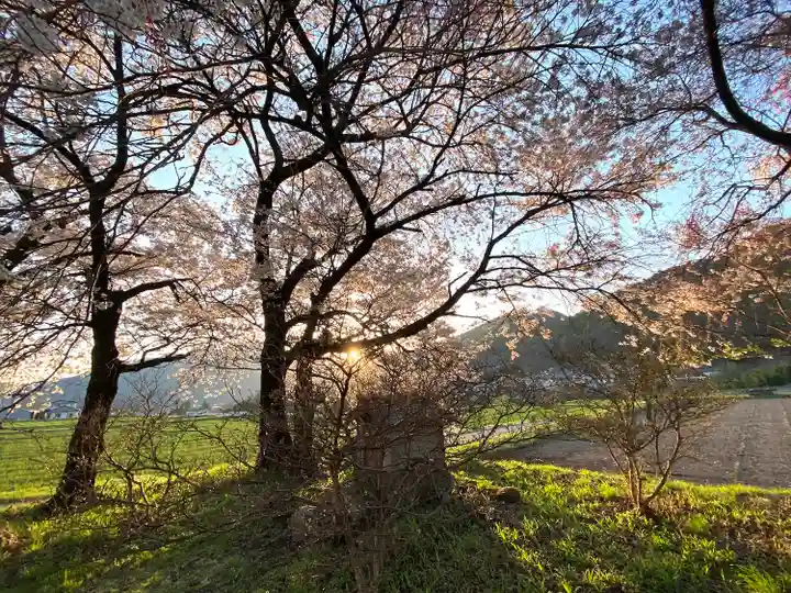 天神宮(伝河原氏屋敷跡)の自然