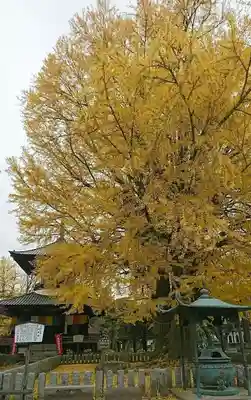鑁阿寺(栃木県)
