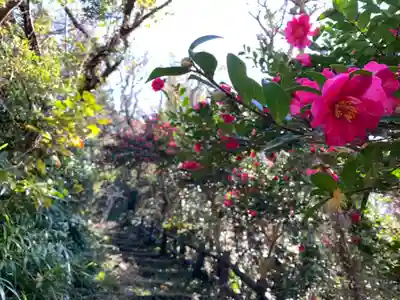 八幡神社の自然
