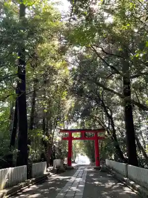 和伎坐天乃夫岐売神社(京都府)