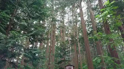 北海道神宮の自然