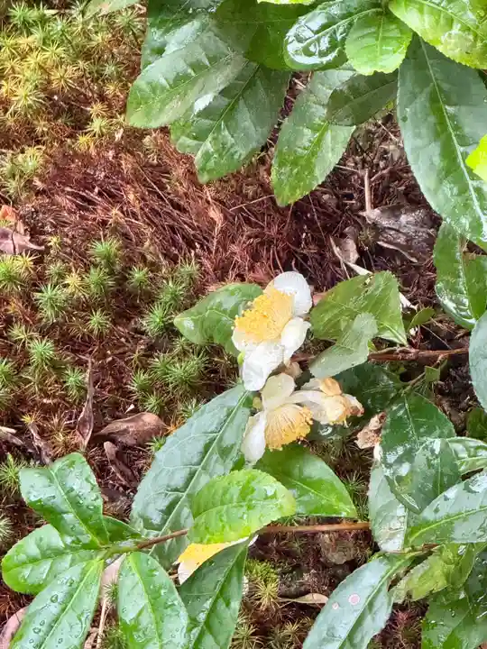 鹿王院(京都府)