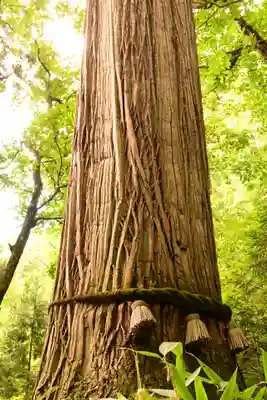 戸隠神社九頭龍社(長野県)