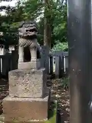 柳窪天神社（黒目川天神社）　の狛犬