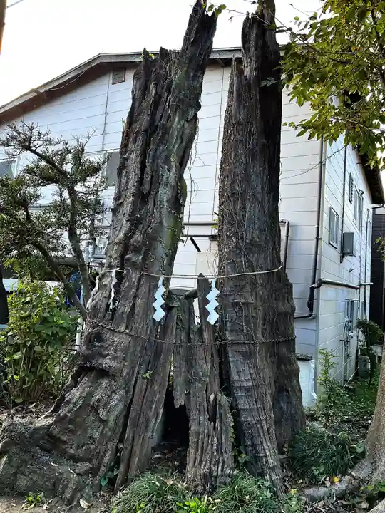 豊鹿嶋神社(東京都)