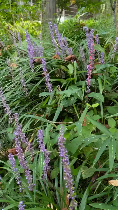 三千院門跡(京都府)