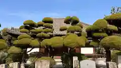 瑞花院(奈良県)