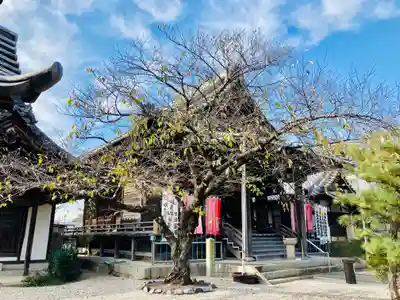 延命寺の末社・摂社