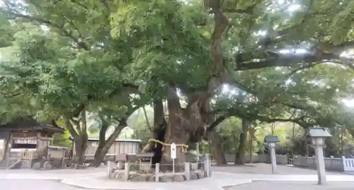 大麻比古神社(徳島県)