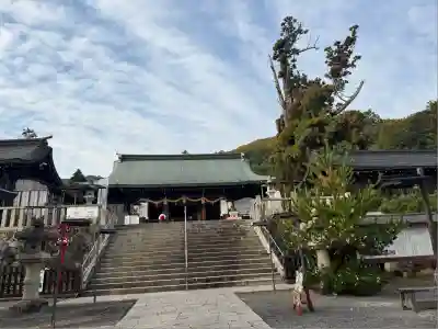 吉備津彦神社(岡山県)