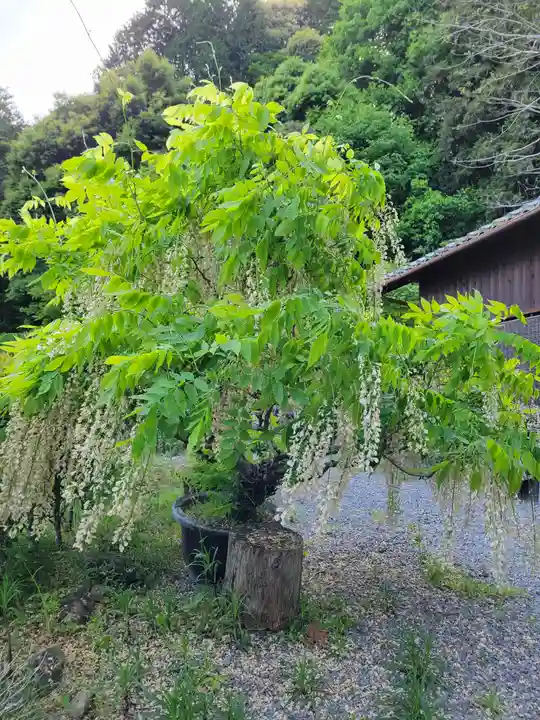 大国寺(兵庫県)